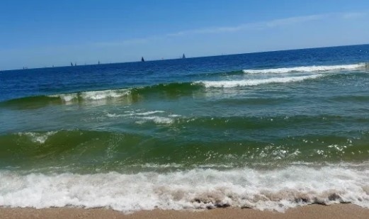 МОСВ: Морето ни е чисто