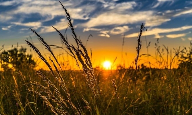 Времето през юли: Ще се редуват жеги и дъжд с гръмотевици