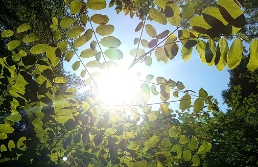 Днес слънчево и топло. Максималните температури  ще са между 27° и 32°