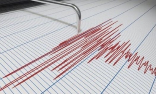 Земетресение със сила 4 1 по Рихтер е било регистрирано малко