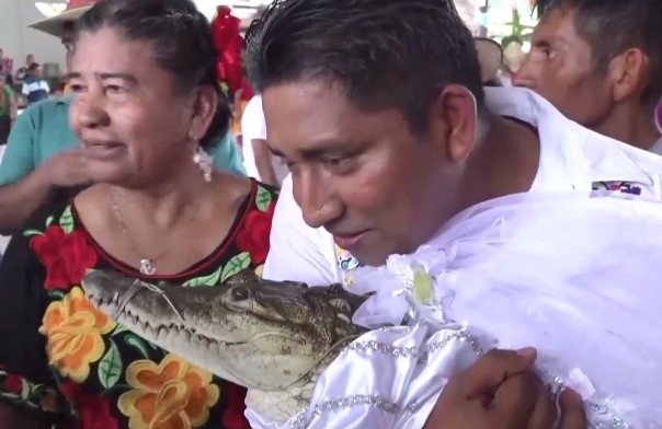Кмет се ожени за крокодил (ВИДЕО)