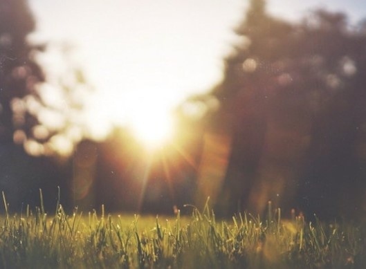 Днес слънчево и топлос максимални температури между 29° и 34°