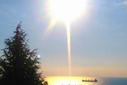 Днес слънчево с максимални температури между  30°- 38°