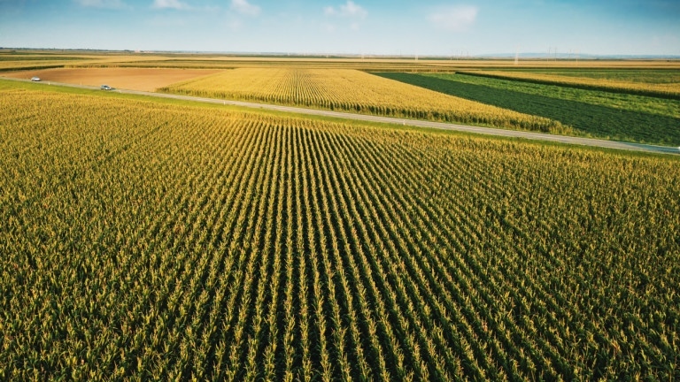 КОПА-КОДЖЕКА и Български фермерски съюз искат дерогации за стандартите за екологично състояние