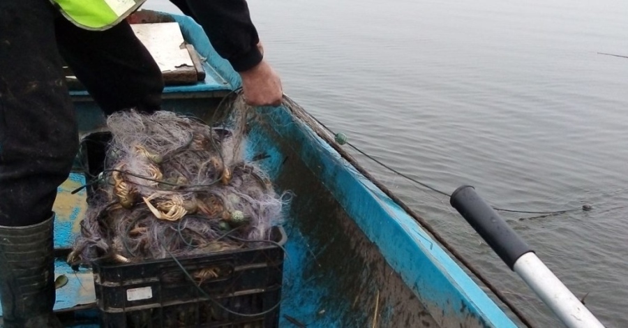   България е напът да загуби над 80 млн. лв. по рибарската програма