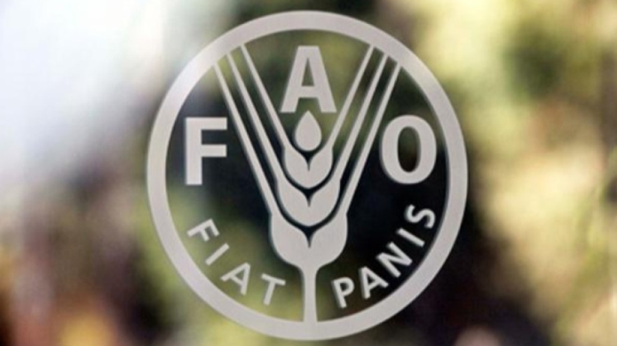 ООН: Храните поскъпват в световен мащаб през юли