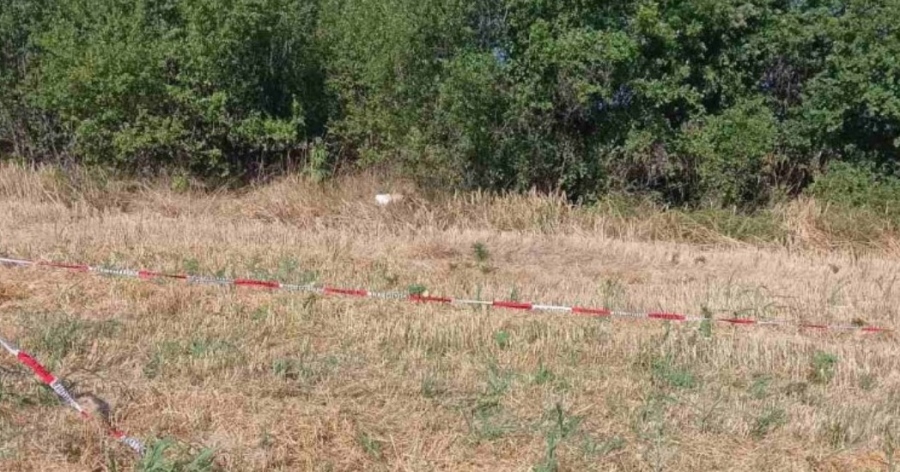 Труп на момиче е намерен край село Лозен