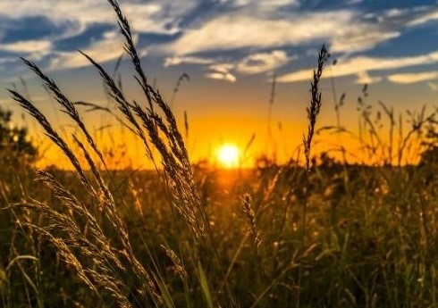 Днес слънчево смаксимални температури между 25° и 30°