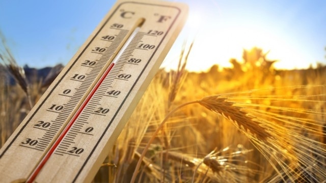 Проф. Георги Рачев: Цялата следваща седмица ще е топла, на морето ще е идеално