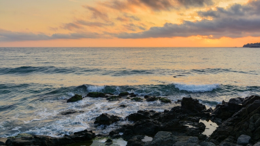 Телата на двама мъже изплуваха на плажовете в Обзор и Поморие