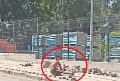 ДАЗД се самосезира по случая с детето, което реди павета в София