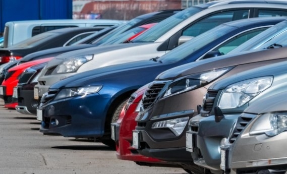 Колите в България над 20 г., в ЕС - 12 г.