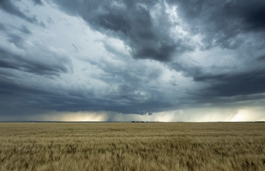 Времето днес: Максималните ще са между 26° и 31°