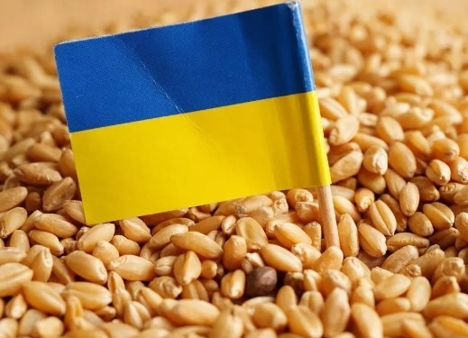 Полша и Унгария удължиха забраната за внос на украинско зърно