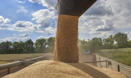 Блумбърг: Египет ще купува пшеница от България и Франция вместо от Русия