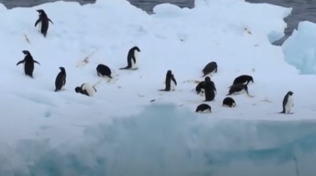 Все по тревожно е влиянието на глобалното затопляне върху Антарктида Смущаваща липса