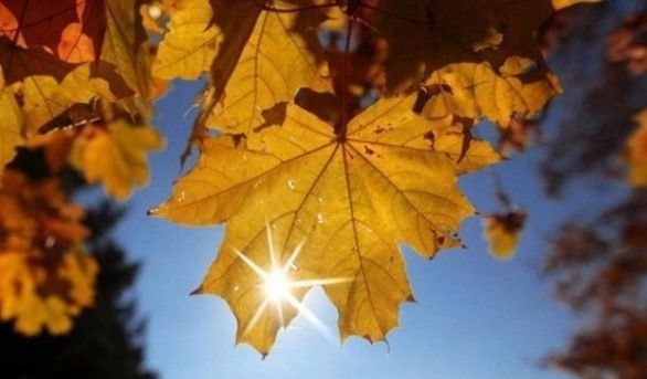 Днес слънчево, след обяд облачността ще се увеличи. Максималните температури ще са между 23° и 28°