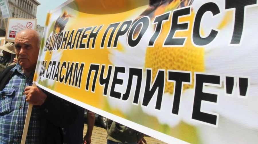 Пчелари излизат на протест пред земеделското министерство на 11 октомври