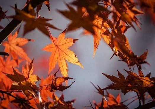 Днес облачно с максимални температури между 21° и 26°