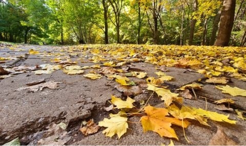 Времето днес: Максимални температури ще бъдат между 16° и 21°