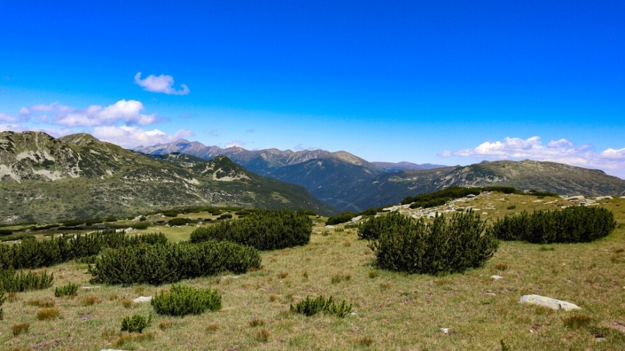 Турист загина в района на Рила
