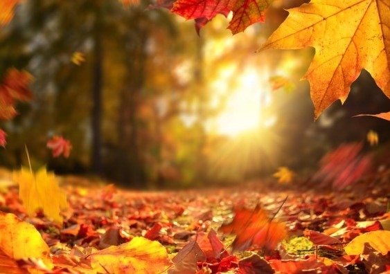 Днес облачно с валежи с максимални температури между 14° и 19°