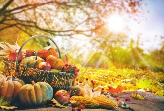 Проф. Рачев: Втората половина на октомври идва с убийствено топло време