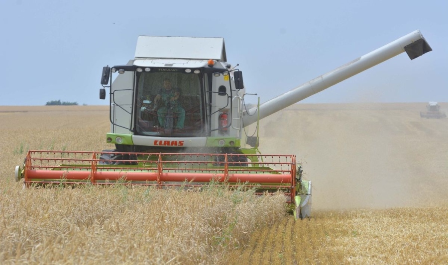 Експерт: Средната стойност на поземлената рента у нас е сред най-високите в Европа