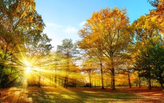 Днес слънчево с максимални температури между 26° и 31°