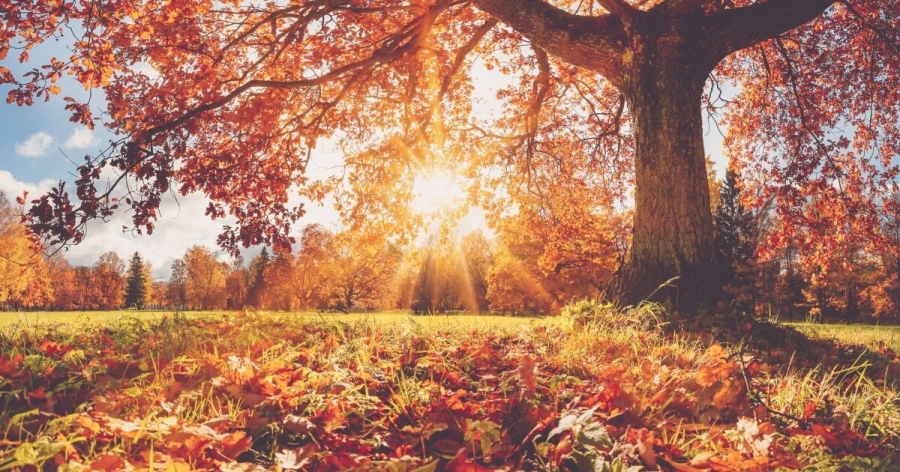 Климатолог: Идват много топли дни, можем да хванем тен дори в градски условия