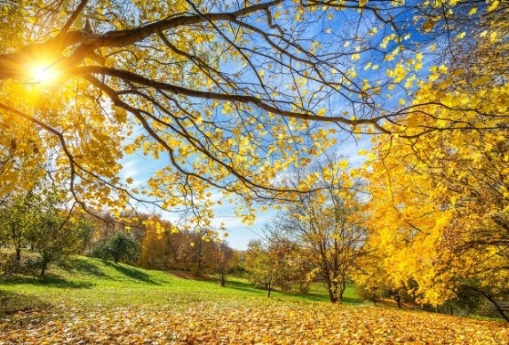 Днес сълнчево и топло. Максималните температури ще са между 29° и 34°