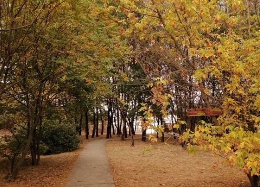 Днес облачно, но топло. Максималните температури ще са между 26° и 31°