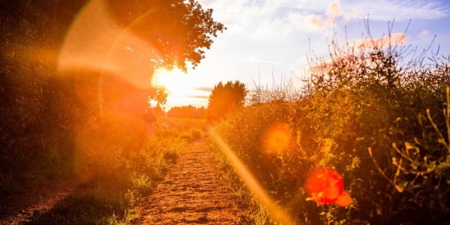 Слънце и топло време и в сряда, градусите гонят 30°  