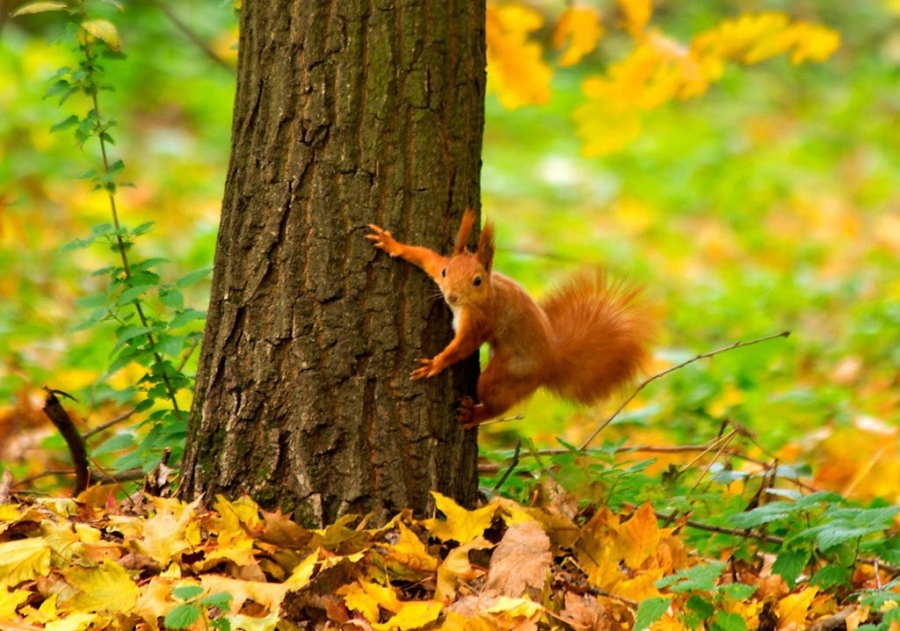 Времето днес: Максималните температури ще бъдат от 18° до 25°
