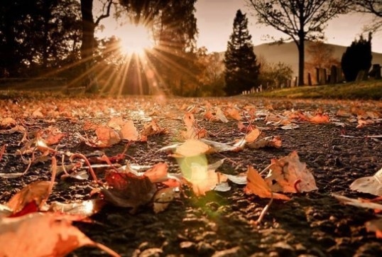 Днес слънчево с максимални температури между 12° и 17°