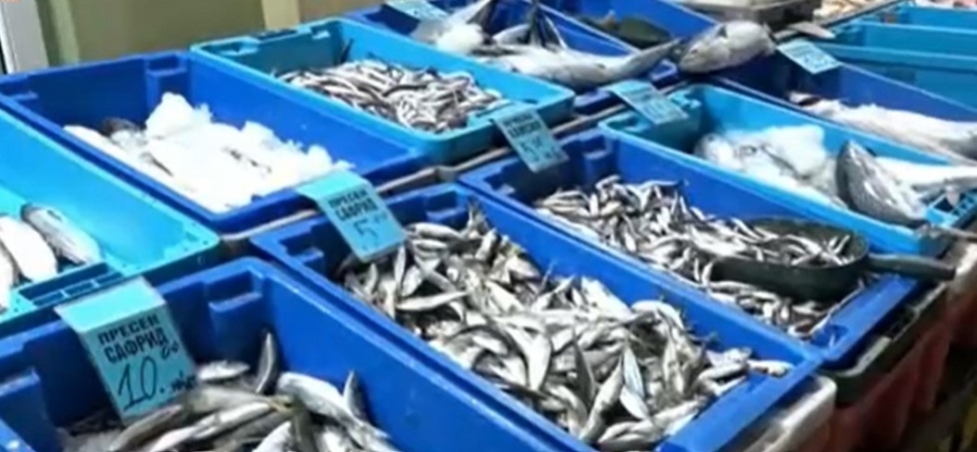 Няма чернокоп и паламуд в морето заради топлото време