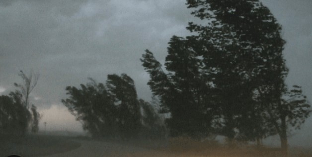 Предупреждение за силен вятър утре