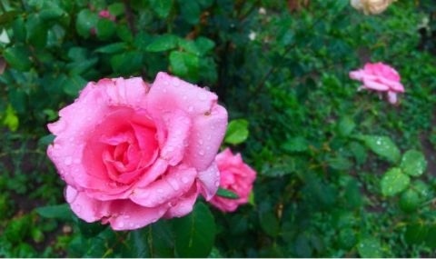 Времето днес: Максималните температури днес ще бъдат в широки граници - от 10° до 19°