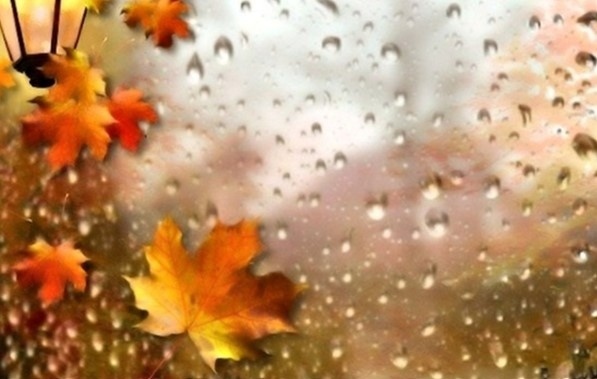 Днес облачно със силен вятър, като на места ще има валежи от сняг. Максималните температури ще са 3°-8°