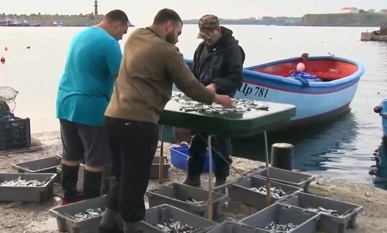 Слаб улов на риба седмици преди Никулден