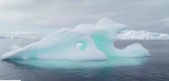 Дрожди от Антарктида могат да лекуват рак?