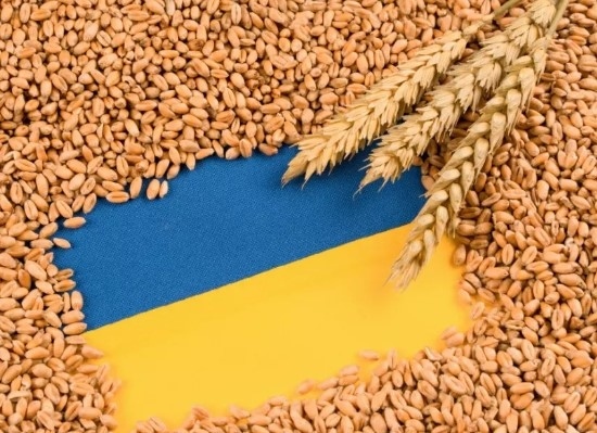 България и Украйна се договориха за износа на слънчоглед, рапица, царевица и пшеница