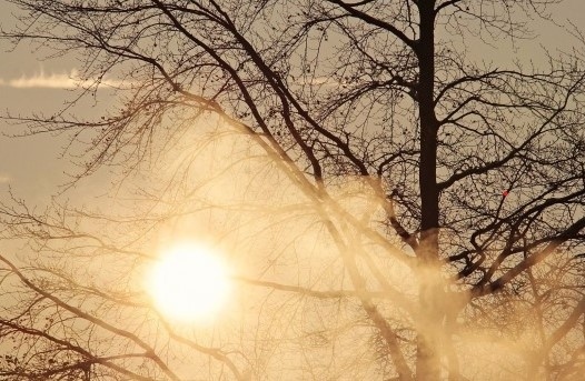 Днес слънчево с максимални температури между 9° и 14°