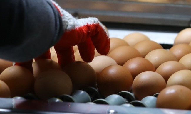 Изпреварваме Германия и Франция по скъпотия на основни храни 