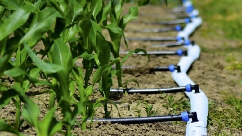 Напояването ще спаси българското земеделие от климатичните промени