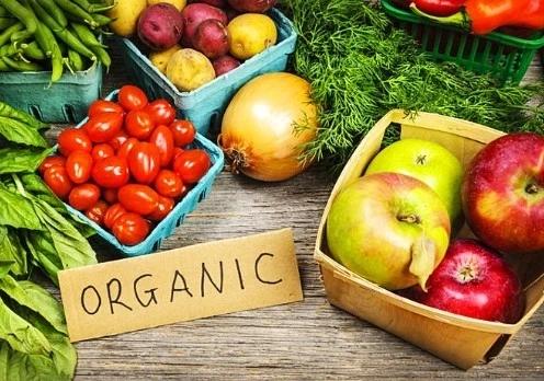 По-строги правила за етикетирането на екологични продукти одобри ЕП