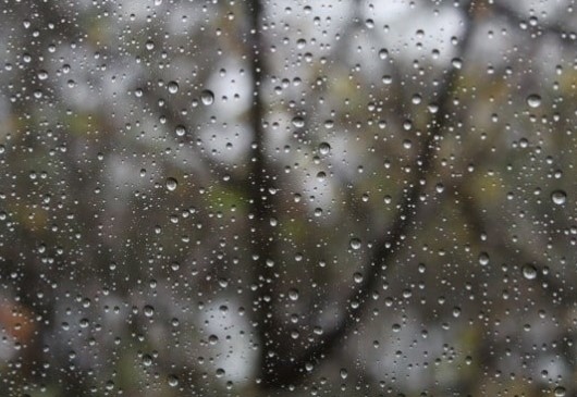 Днес облачно с валежи от дъжд. Максималните температури ще са между  5°-16°