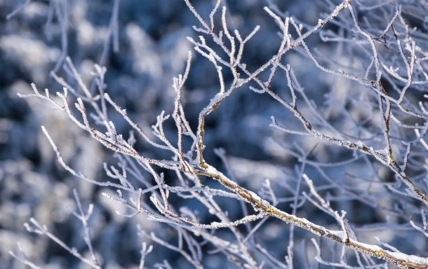 Днес слънчево с максимални температури между между 0° и 5°