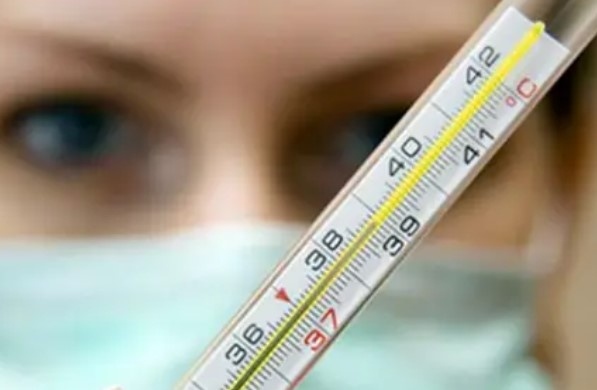 В Плевен и във Варна е обявена грипна епидемия