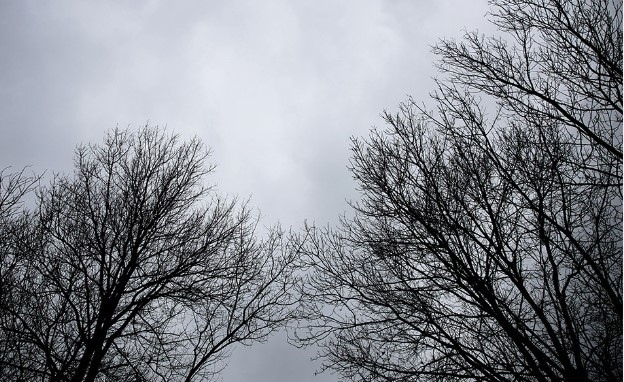 Днес облачно на места с валежи от сняг. Максималните температури ще са между 2° и 7°